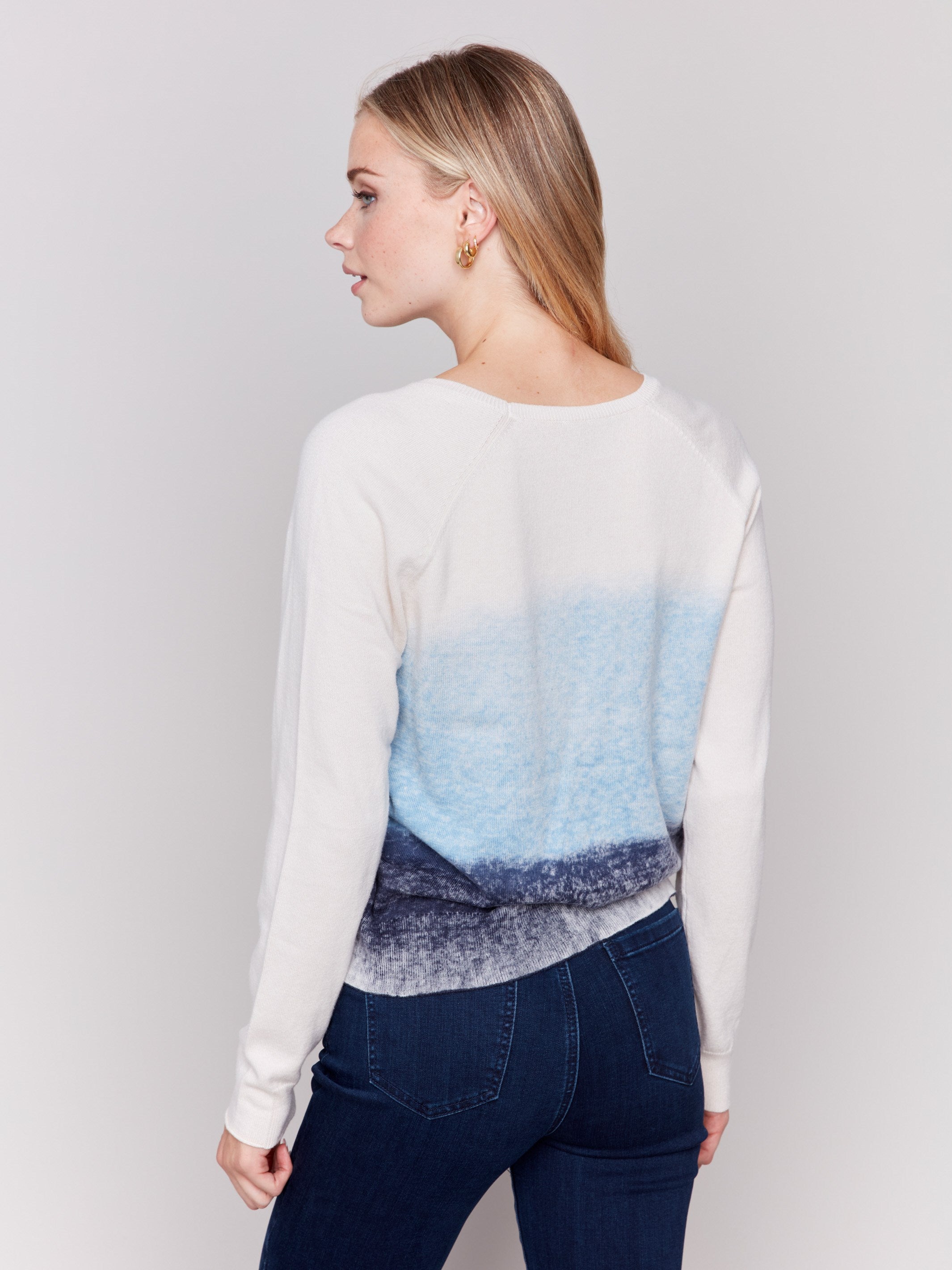 Frost-colored knit sweater with a snow wash gradient effect, long raglan sleeves, and crew neckline by Charlie B.